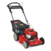 Toro Recycler 22 in. Gas Lawn Mower with Personal Pace, 163cc Briggs & Stratton (21462)